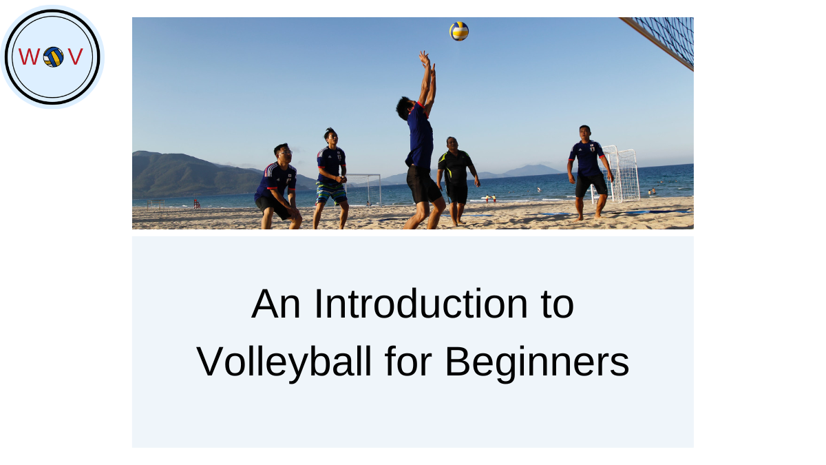 An Introduction to Volleyball for Beginners