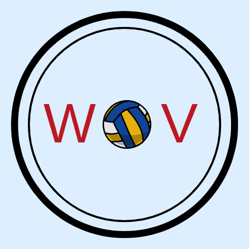 Logo of Wonder of Volleyball
